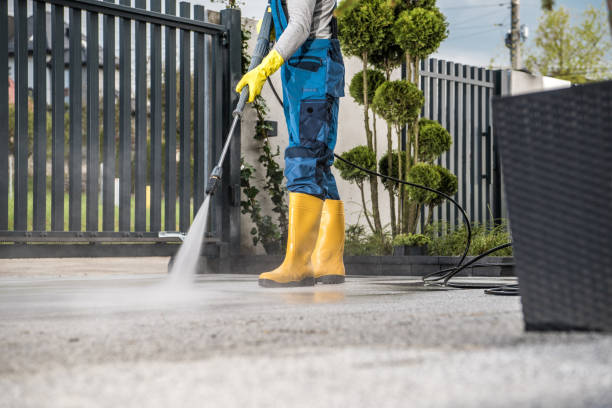 Best Dumpster Area Cleaning  in Rushford, MN