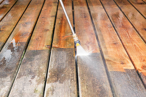 Pre-Holiday Cleaning in Rushford, MN